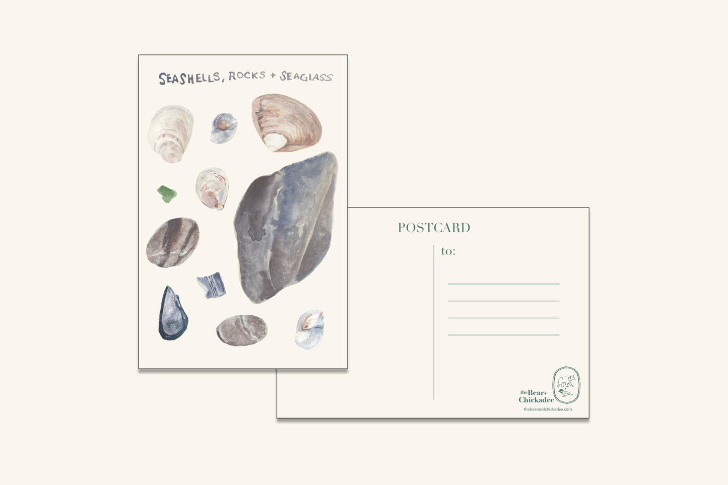 Seashells, Rocks and Seaglass Post Card