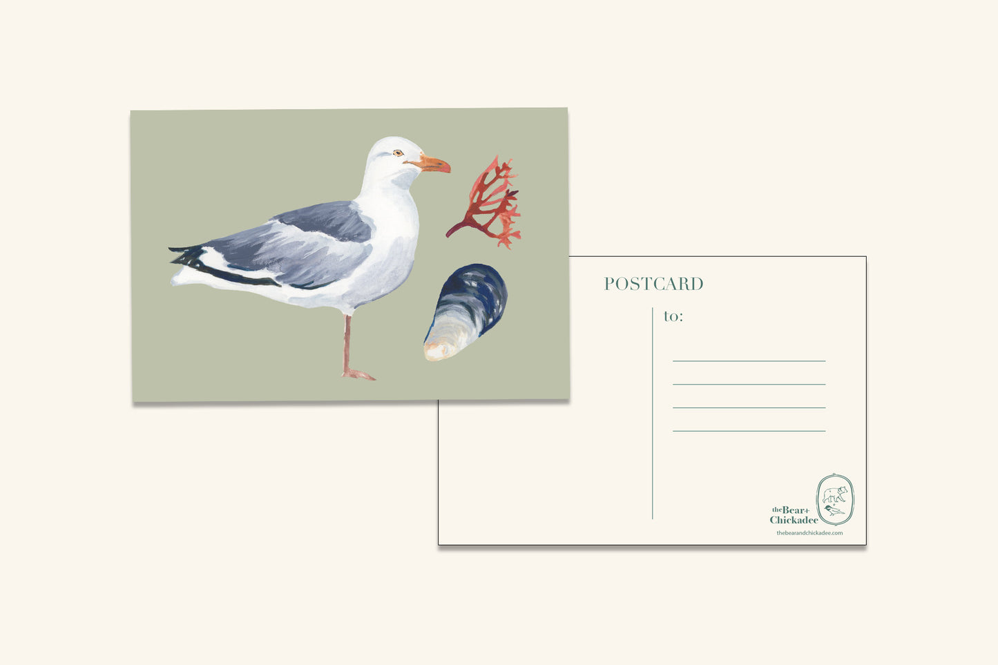 Gull w/ Mussel Post Card
