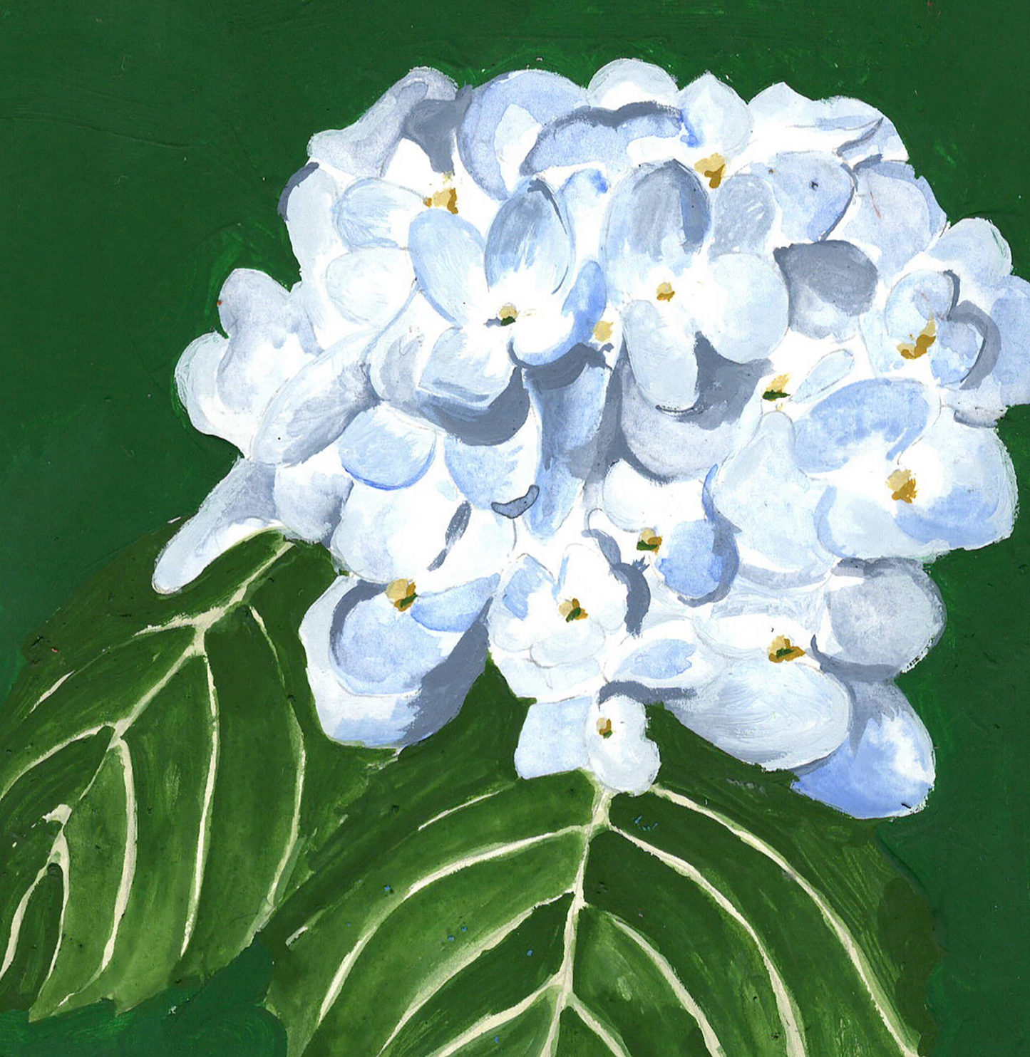 Hydrangea 5x7 Gouache Original Painting