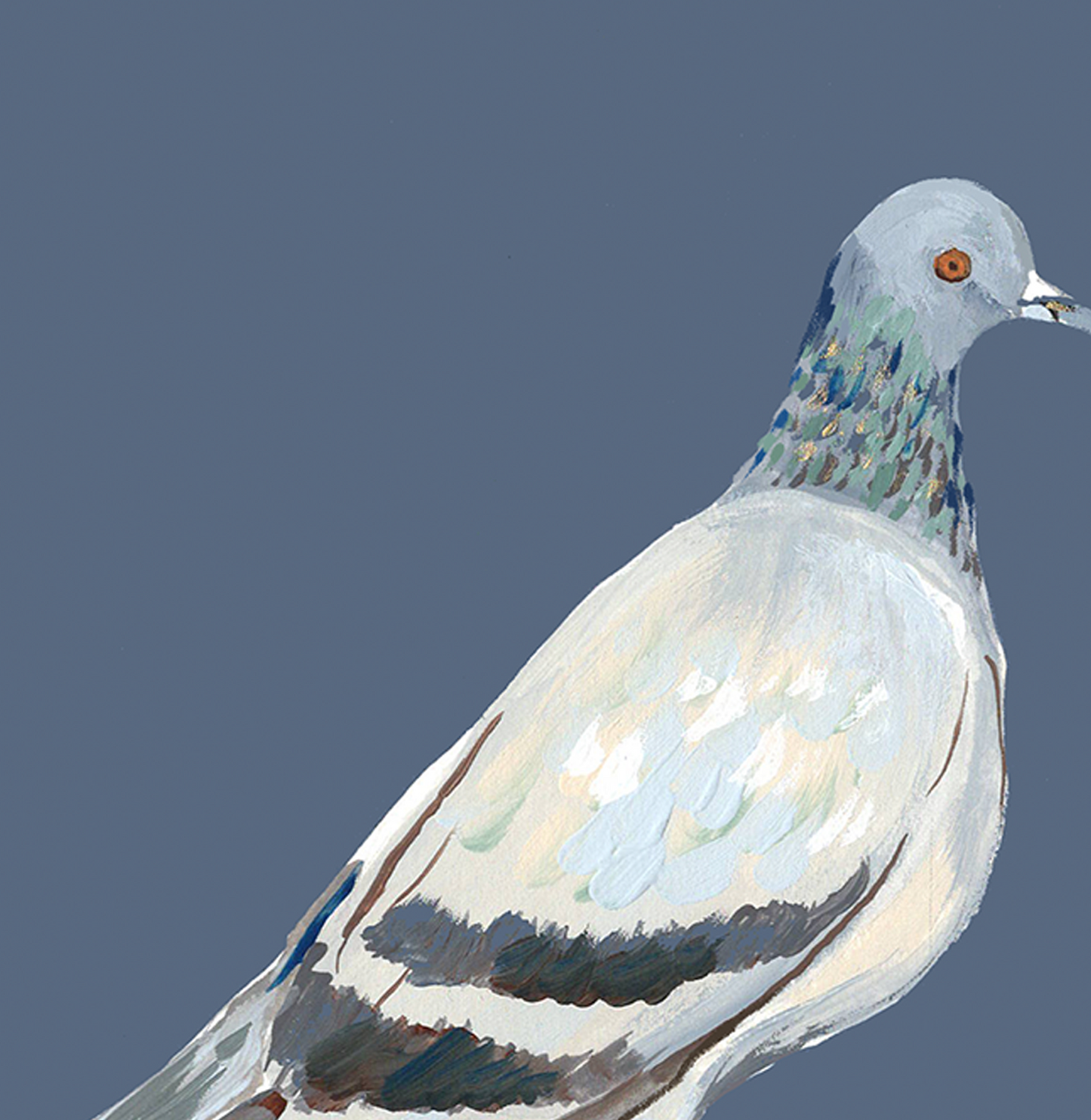 Pigeon 5x7 Gouache Original Painting