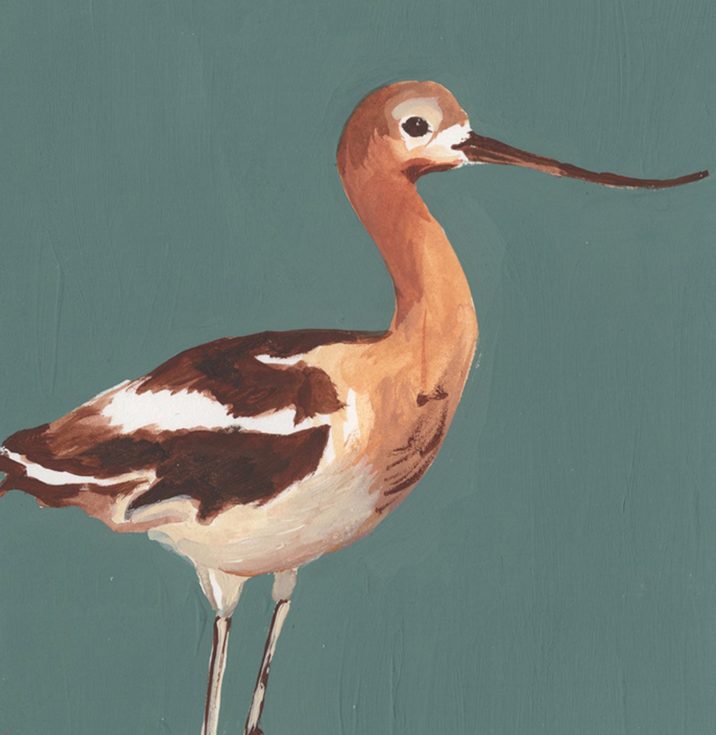American Avocet 5x7 Gouache Original Painting
