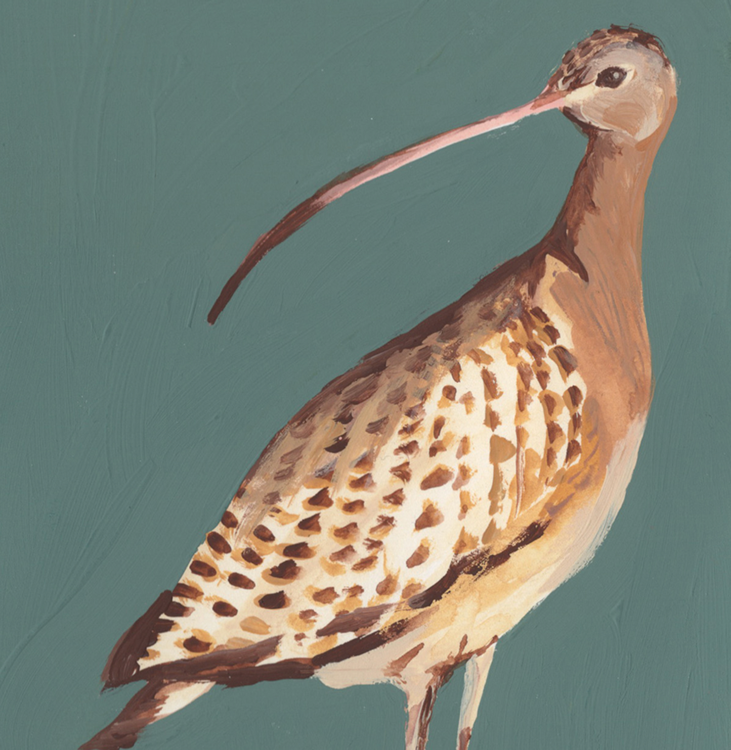 Long Billed Curlew 5x7 Gouache Original Painting