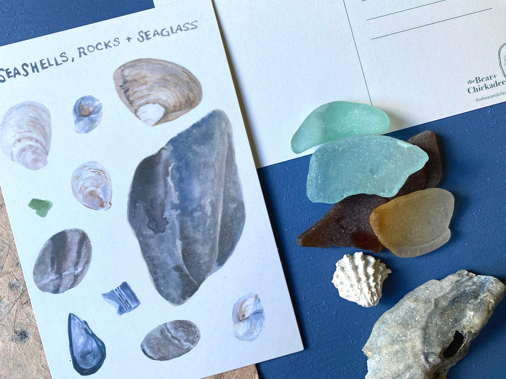 Shore Treasure Post Card Set