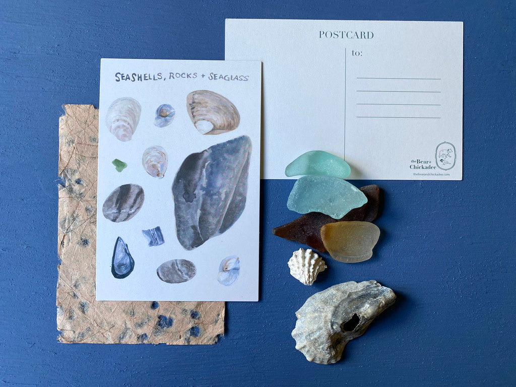 Shore Treasure Post Card Set