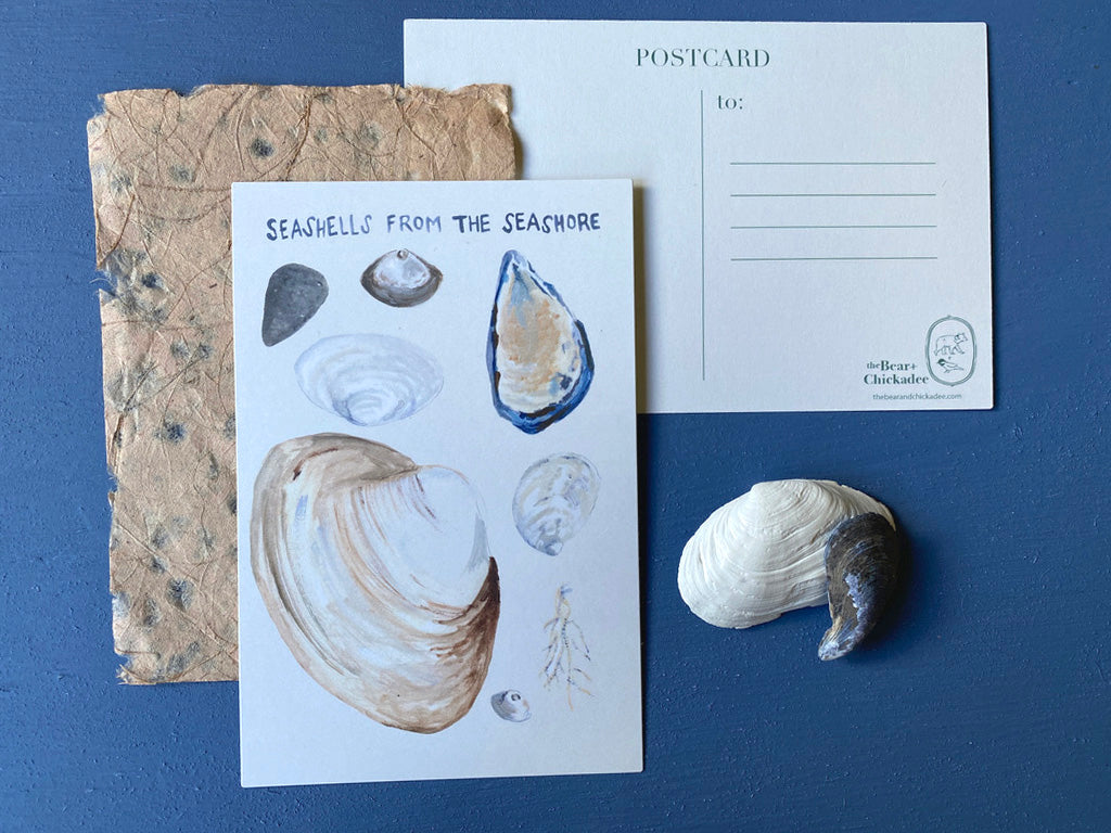Shore Treasure Post Card Set