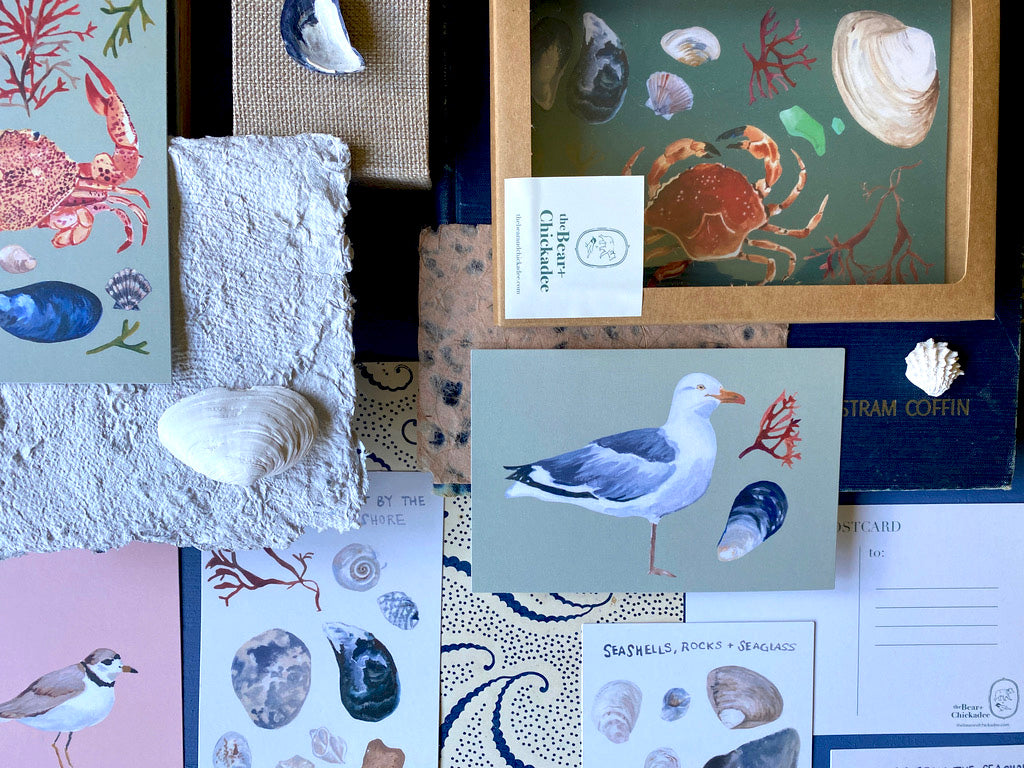 Piping Plover Post Card