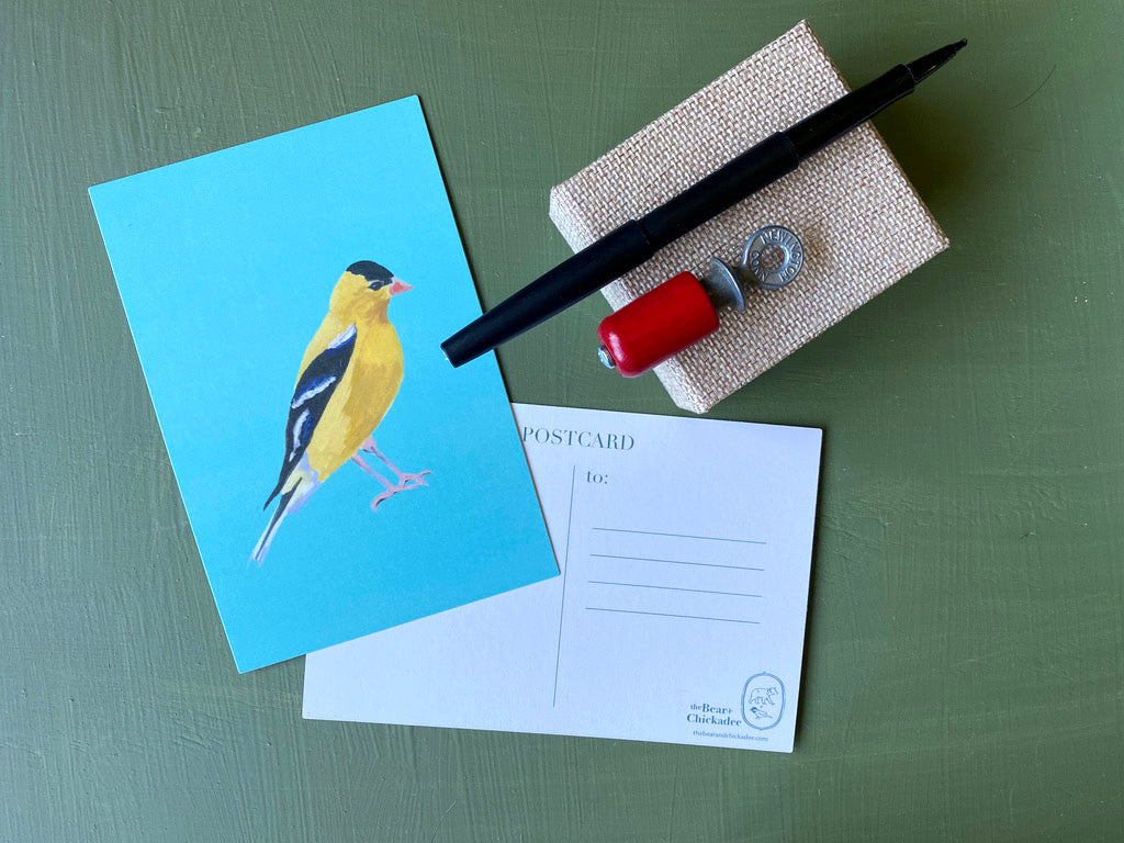 Backyard Bird Post Card Set