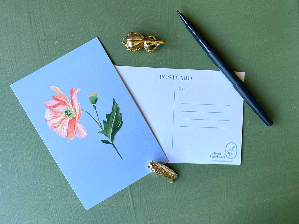 Backyard Flower Post Card Set