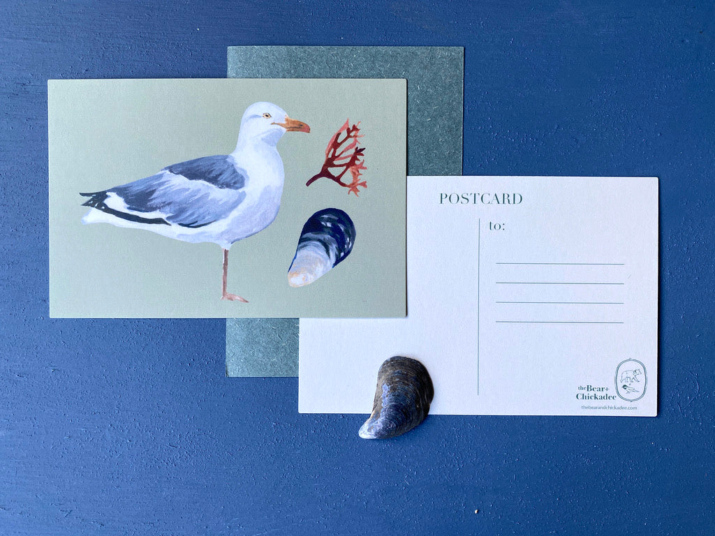 Gull w/ Mussel Post Card