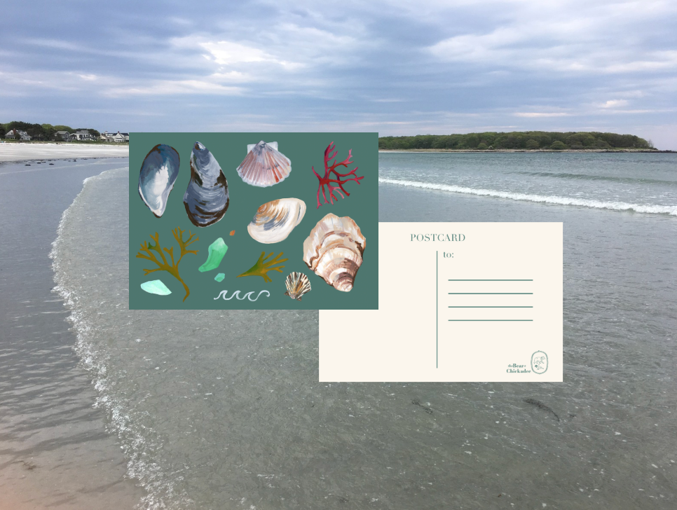 On the Coast Post Card