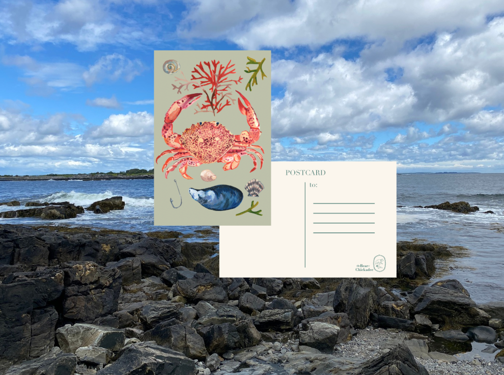 Crab and it's Bounty Post Card