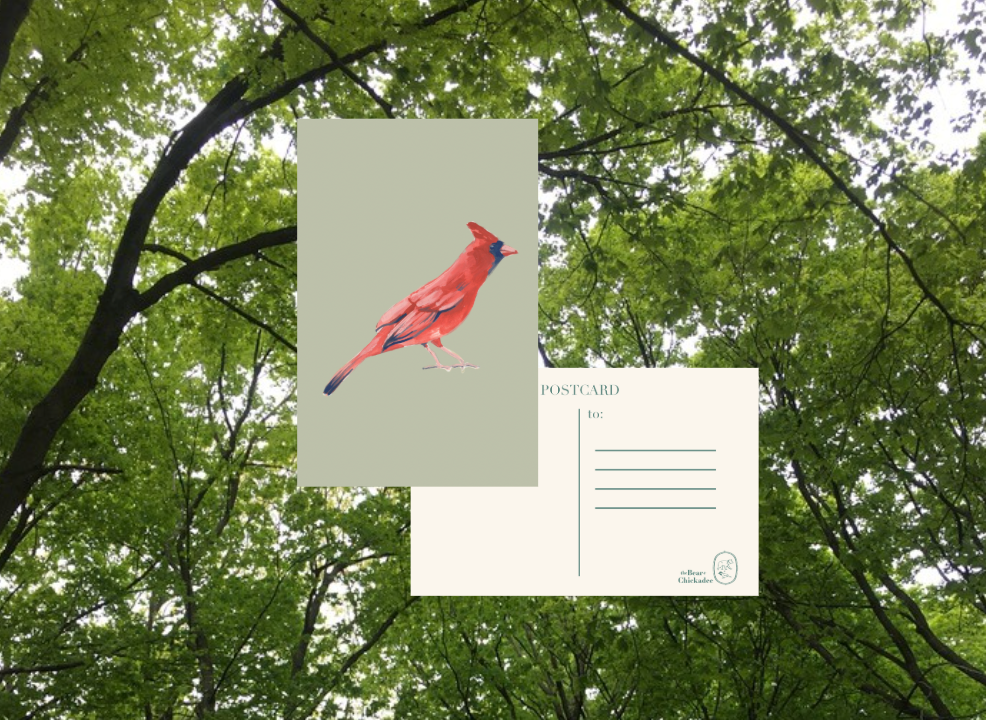 Cardinal Post Card