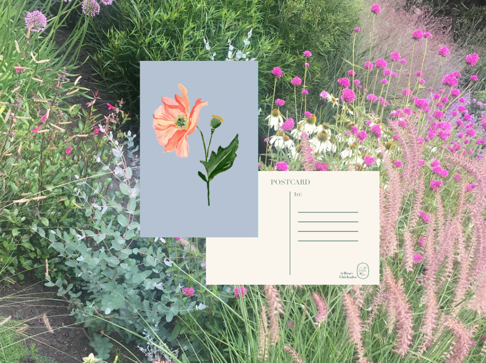 Poppy Post Card