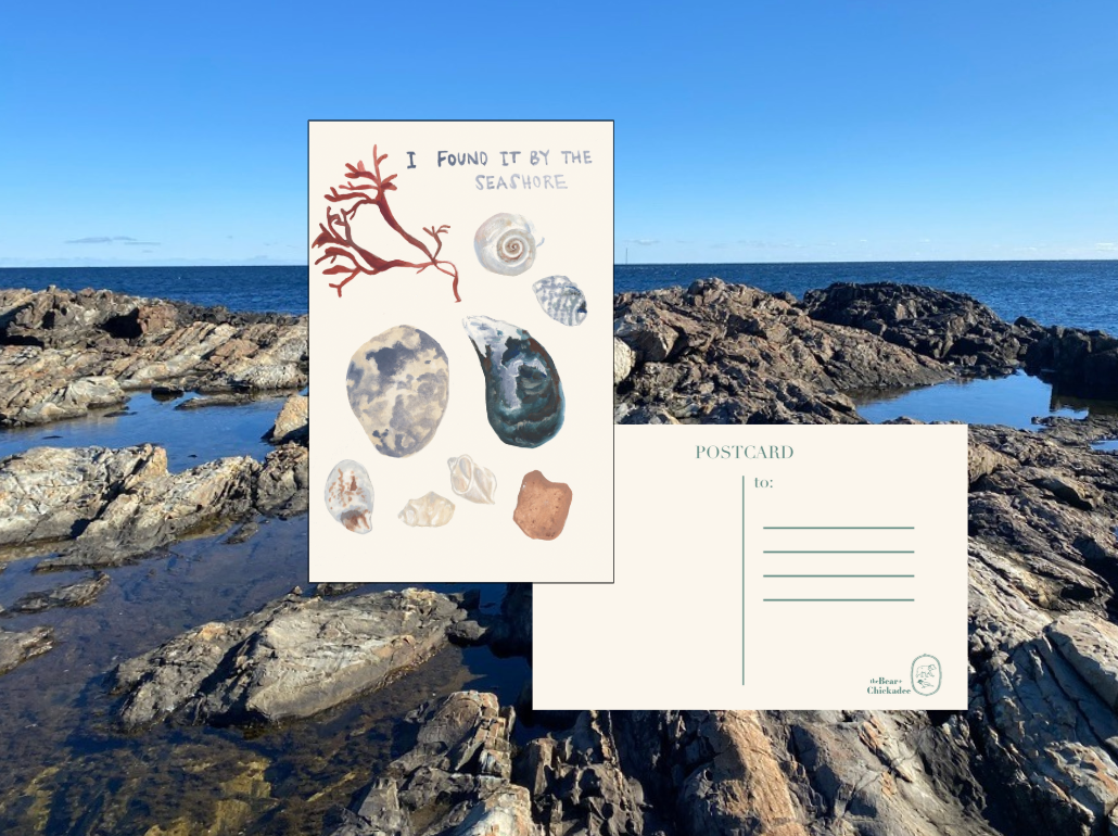 I found it at the Seashore Post Card