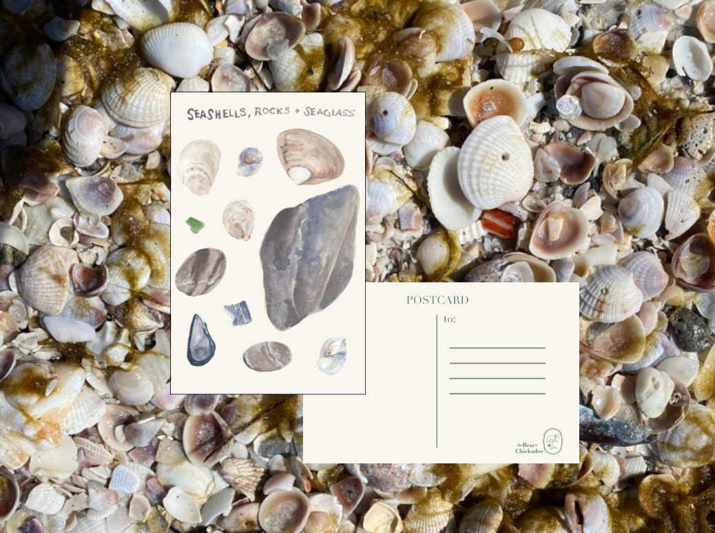 Seashells, Rocks and Seaglass Post Card