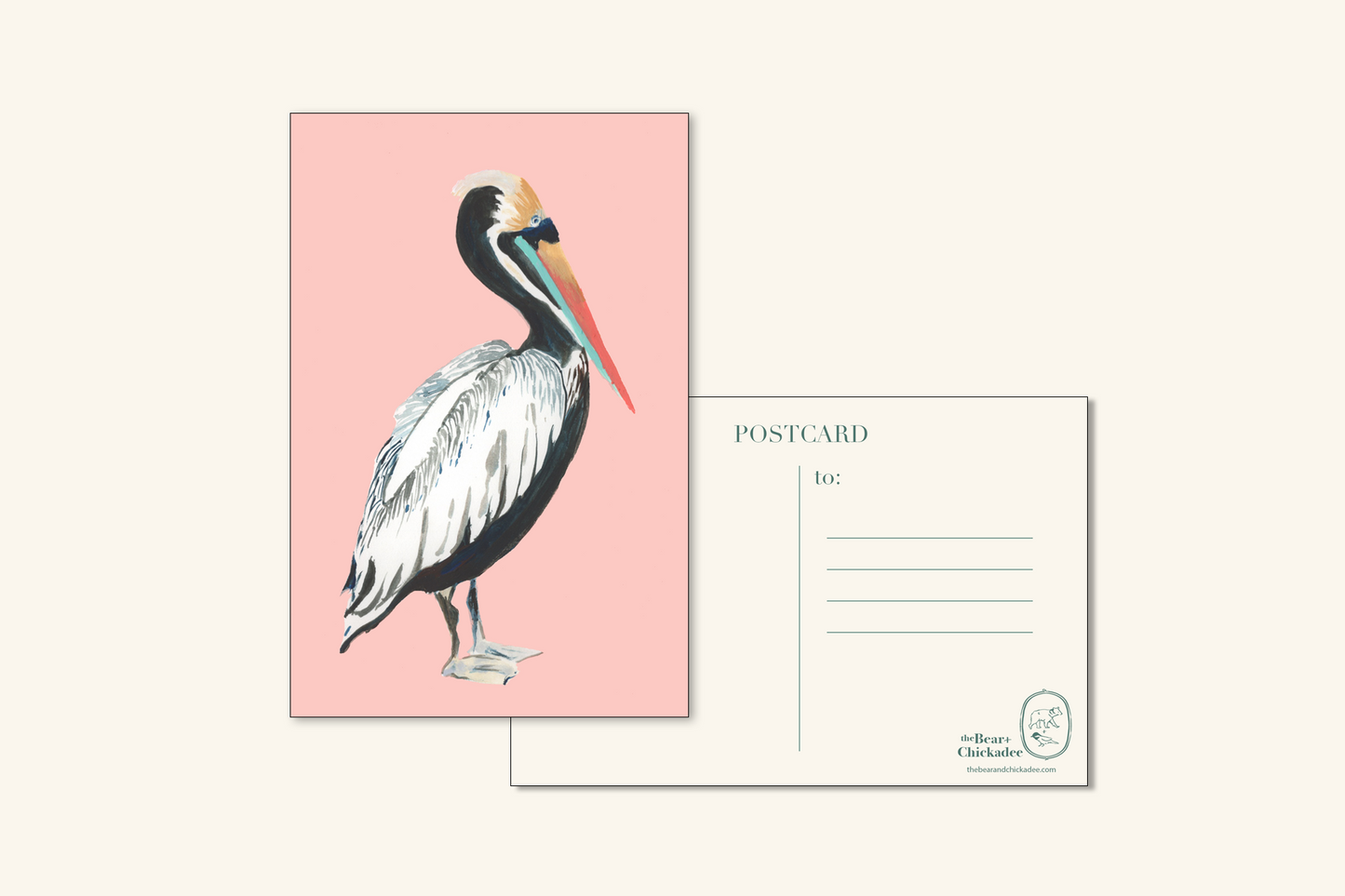 Pelican Postcard