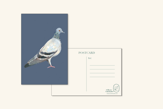 Pigeon Postcard