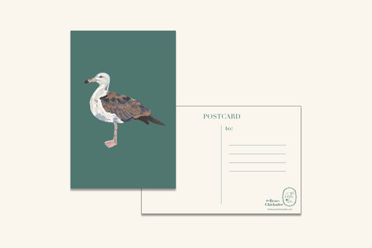 Seagull Post Card