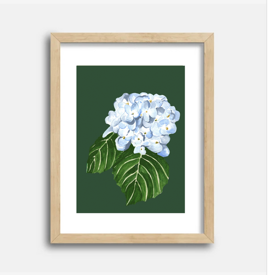 Hydrangea 5x7 Gouache Original Painting