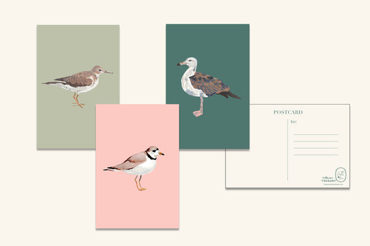 Seaside Bird Post Card Set