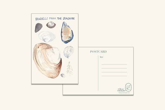 Seashells from the Seashore Post Card
