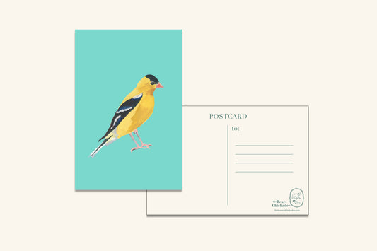 American Goldfinch Post Card
