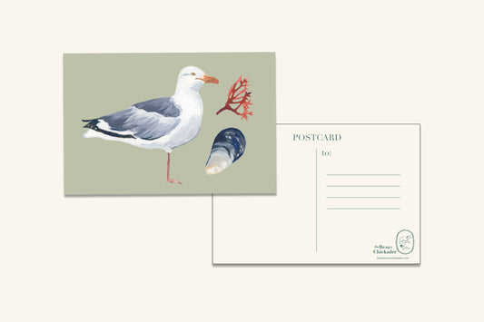 Gull w/ Mussel Post Card