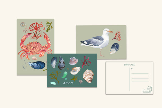 Coastal Post Card Set