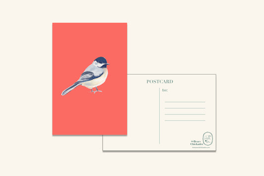 Black-Capped Chickadee Post Card