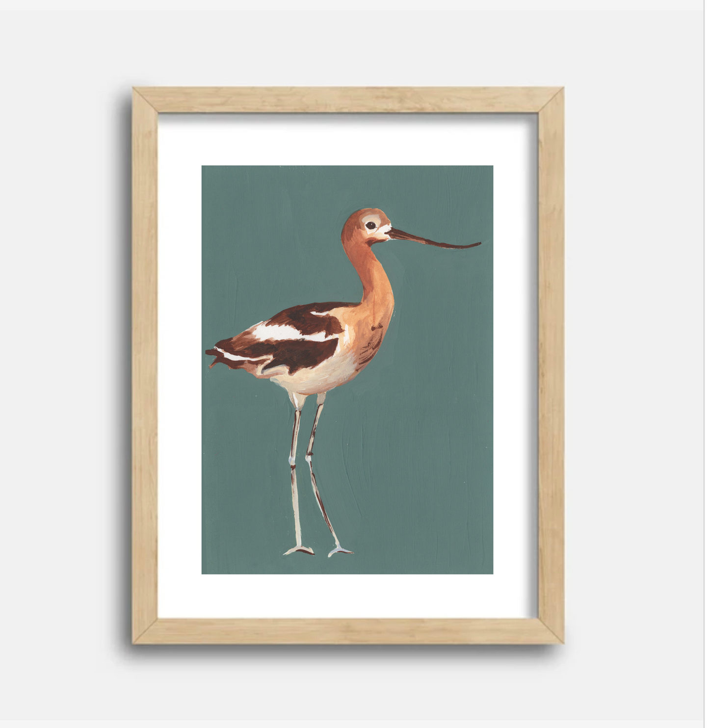 American Avocet 5x7 Gouache Original Painting
