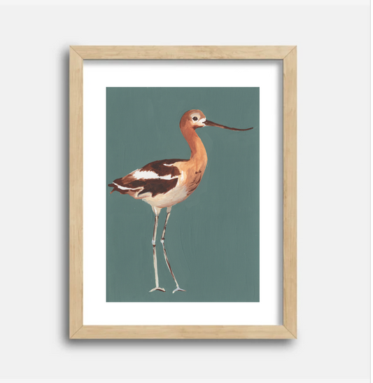 American Avocet 5x7 Gouache Original Painting