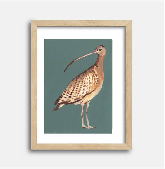 Long Billed Curlew 5x7 Gouache Original Painting