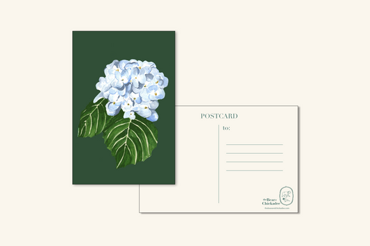 Hydrangea Postcard
