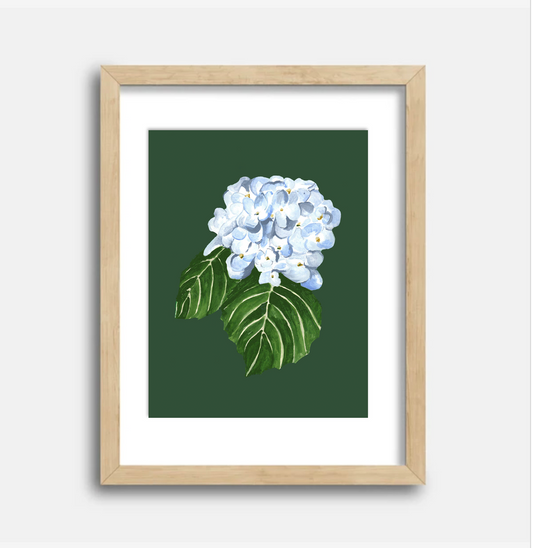 Hydrangea Art Print, 8.5 x 11