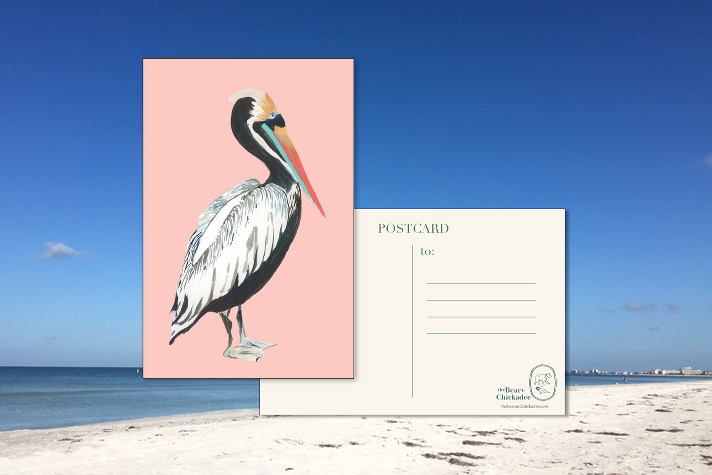Pelican Postcard