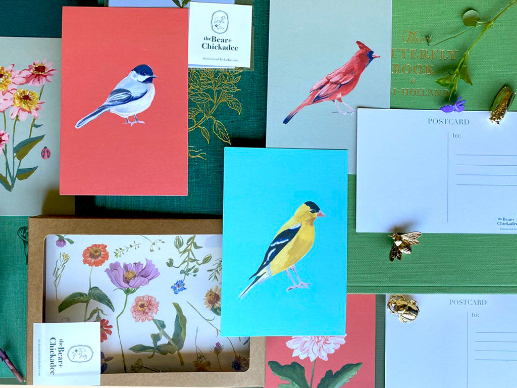 Black-Capped Chickadee Post Card