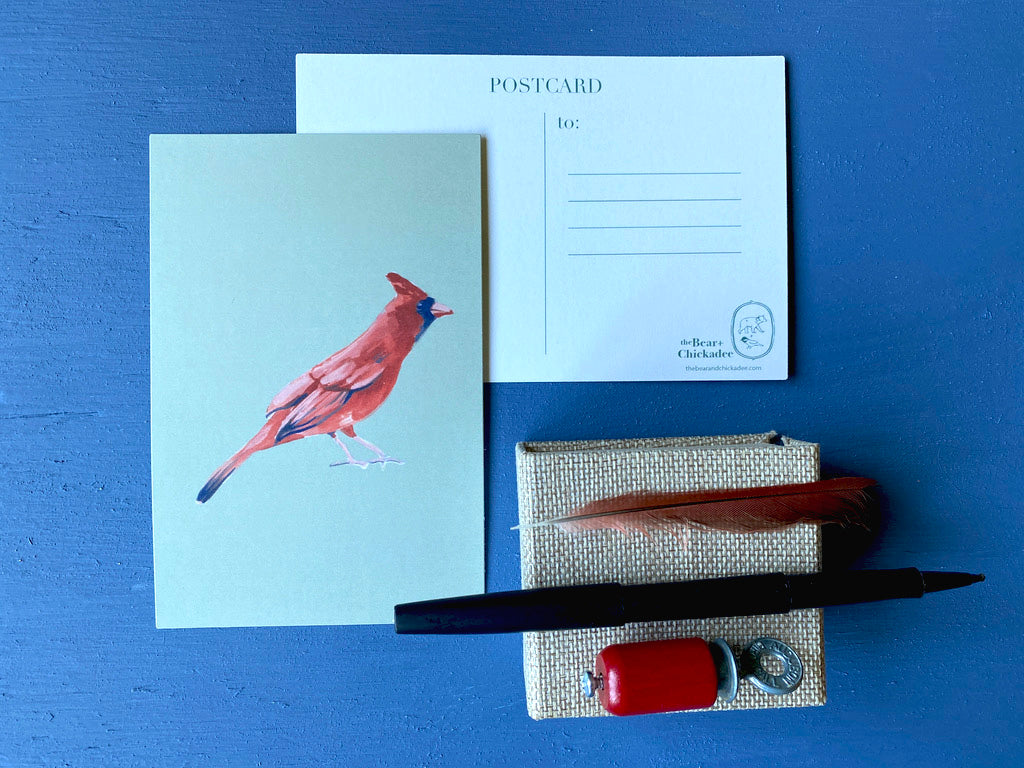 Backyard Bird Post Card Set