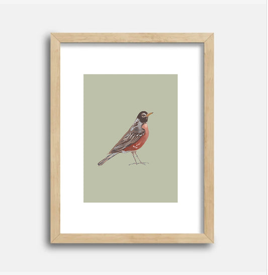 American Robin Art Print, 5x7