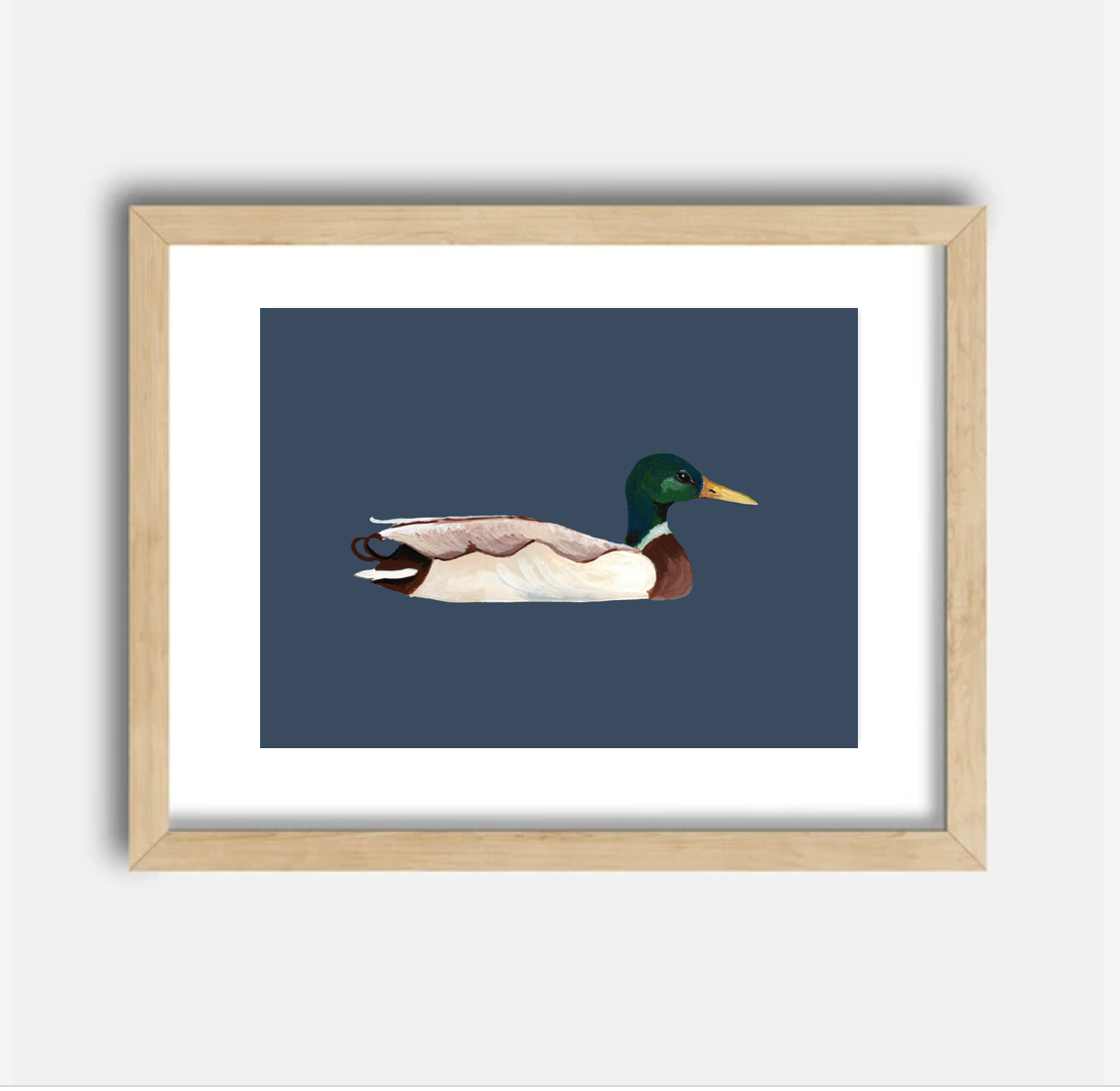 Mallard Art Print, 8.5 x 11