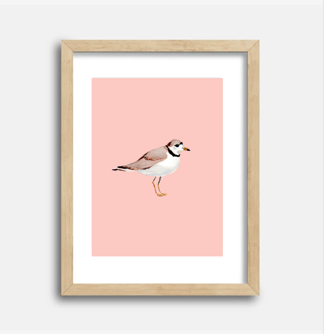 Plover Art Print, 8.5 x 11