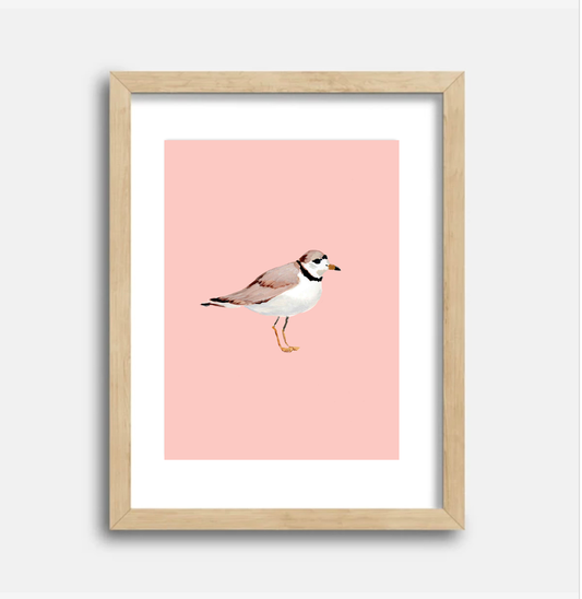 Plover Art Print, 8.5 x 11